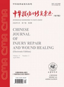 中华损伤与修复
